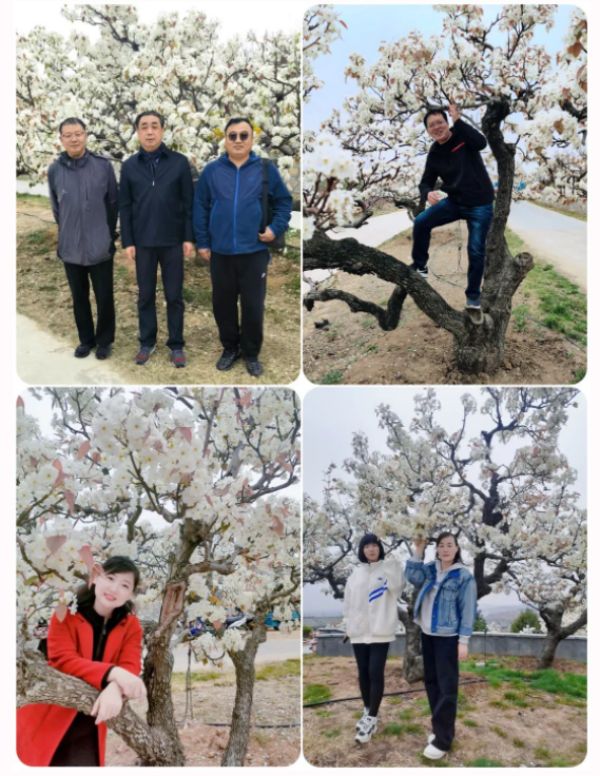 花漾春天，共赴美好——我市多家律所组织开展春游团建活动